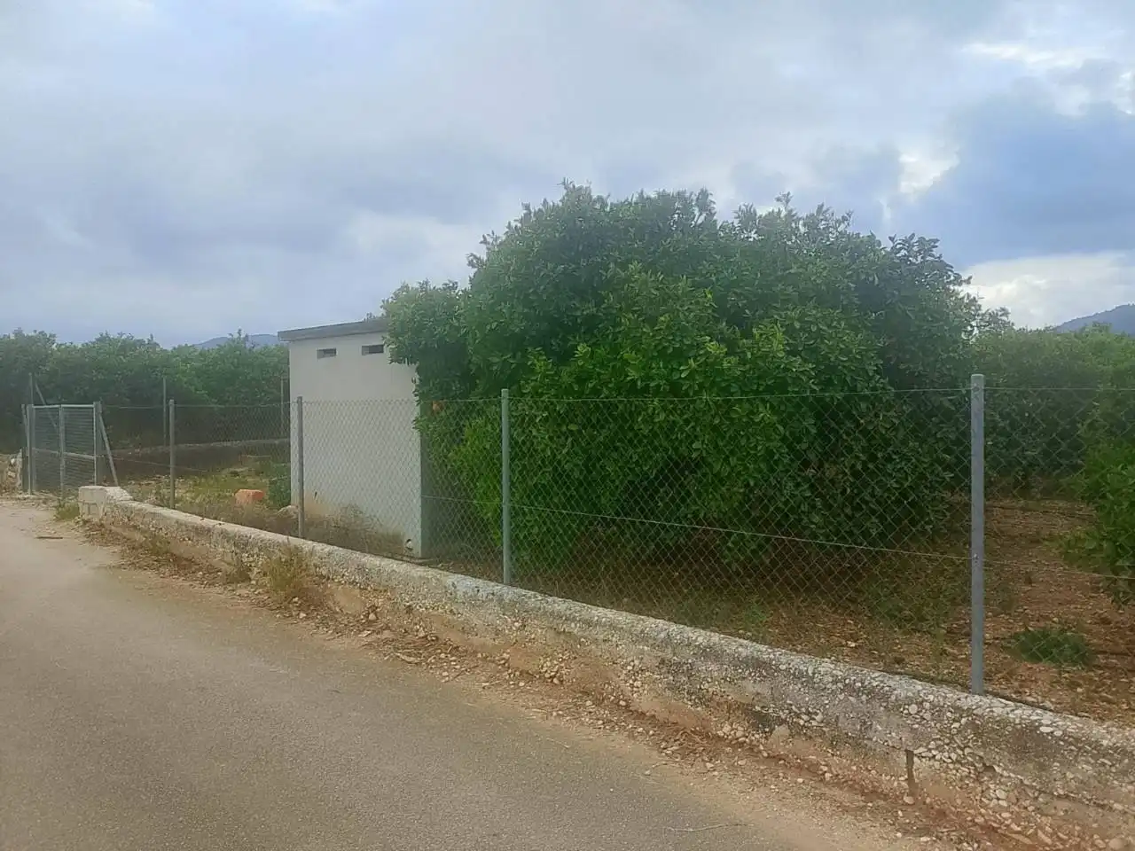 Terreny rústic en venda a Sector Enmig, imagen 7