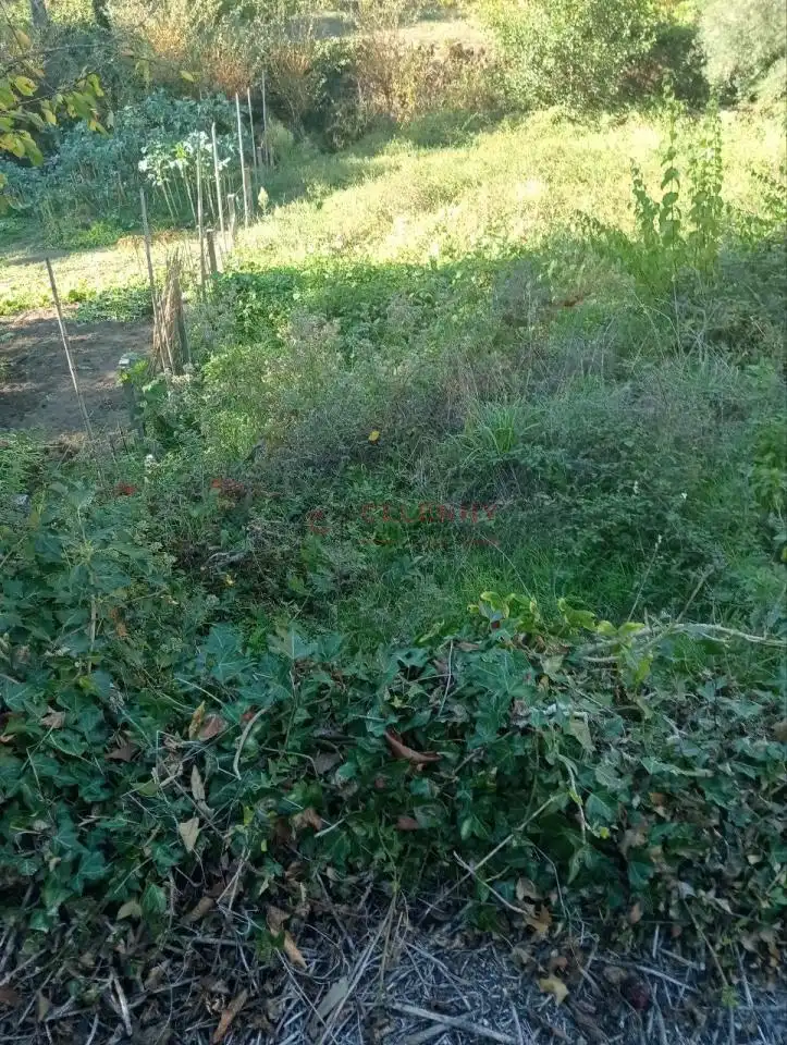 Country house with garden for sale in San Rosendo, imagen 30