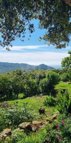 Casa-chalet en Venta en El Cuartón - El Bujeo