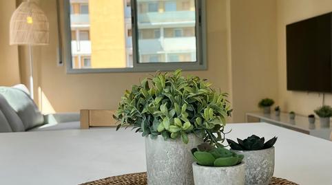 Foto 4 de Pis de lloguer a Carrer Guipúzcoa, Sant Agustí - Cala de Bou, Illes Balears