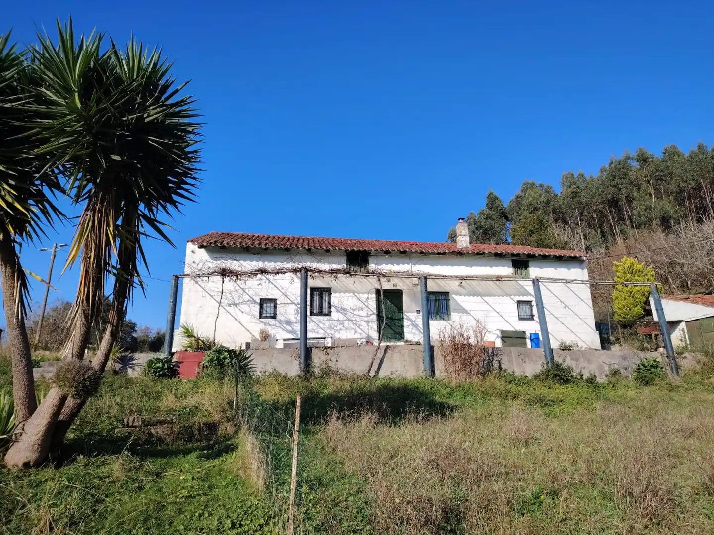 Vista exterior de Casa o chalet en venta en Gorliz con Jardín privado y Trastero