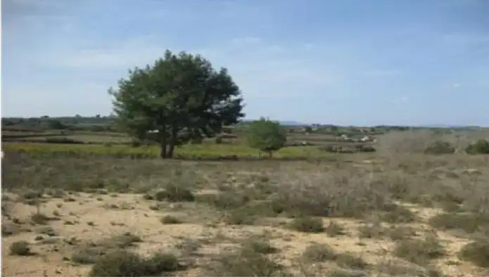 Terreno rustico in vendita a C/ Asturias, imagen 6