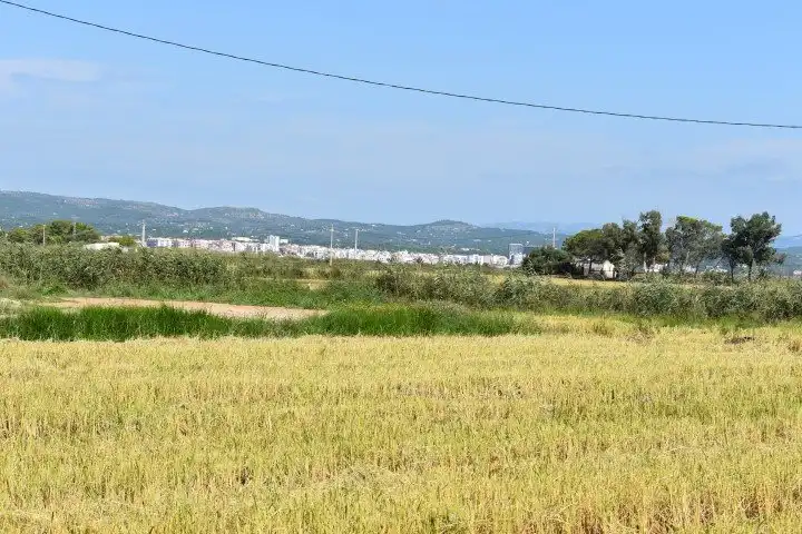 Finca rústica en venta en L'Ampolla