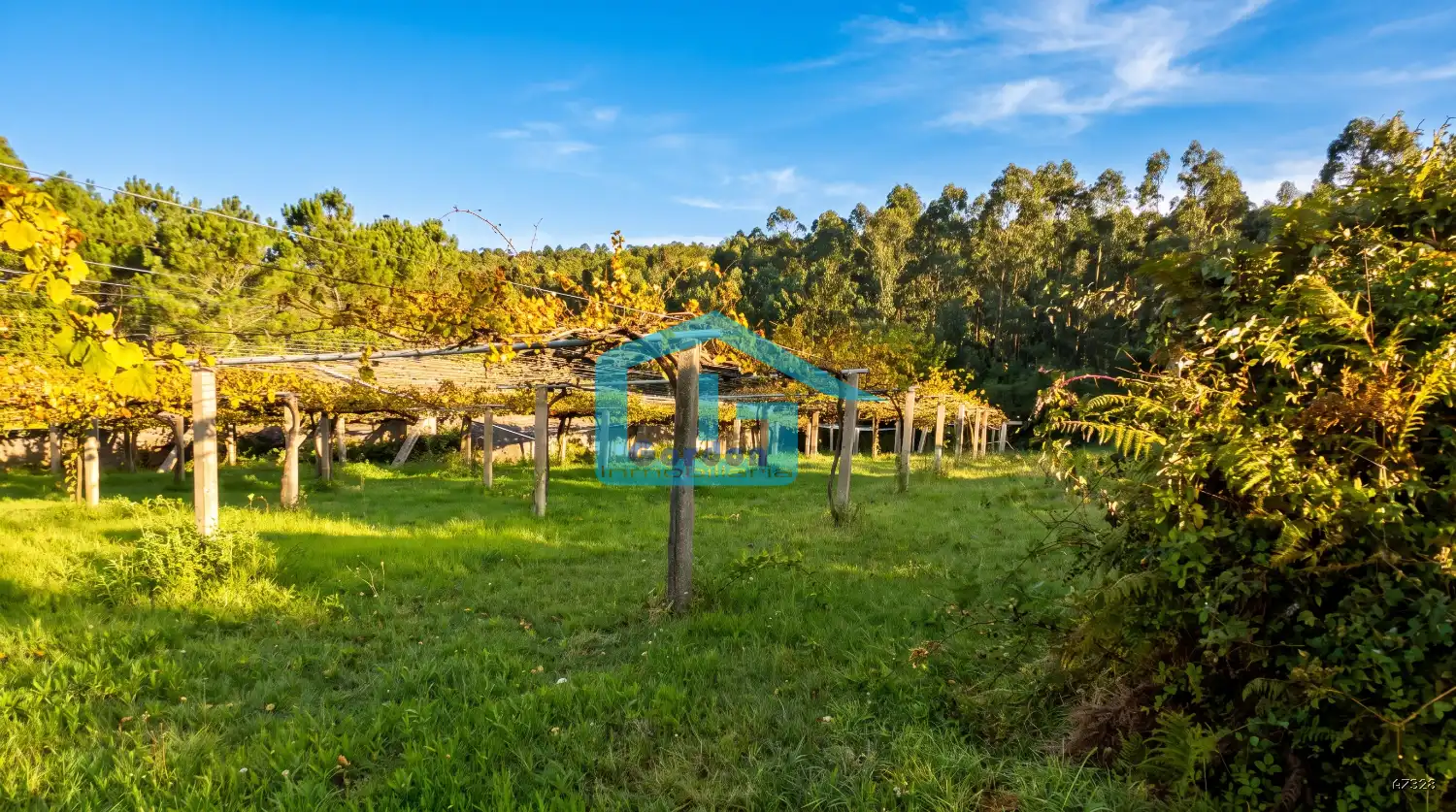 Finca rústica en venta en Sanxenxo, Pontevedra
