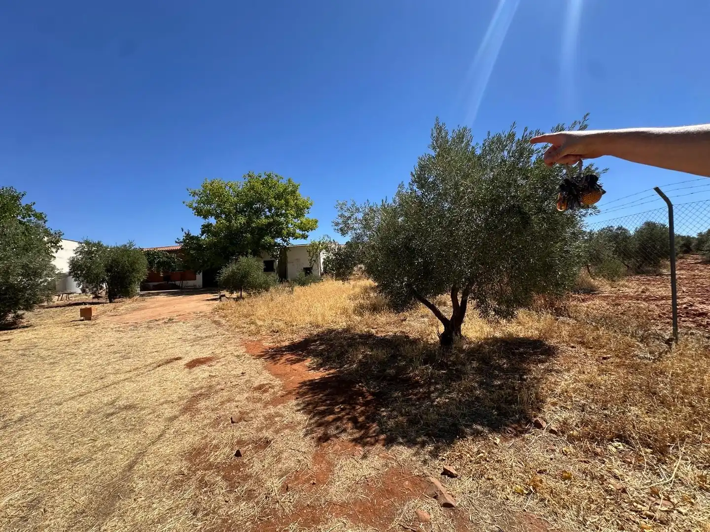 Rural land for sale in Carretera Valdepeñas-Ciudad Real, imagen 52