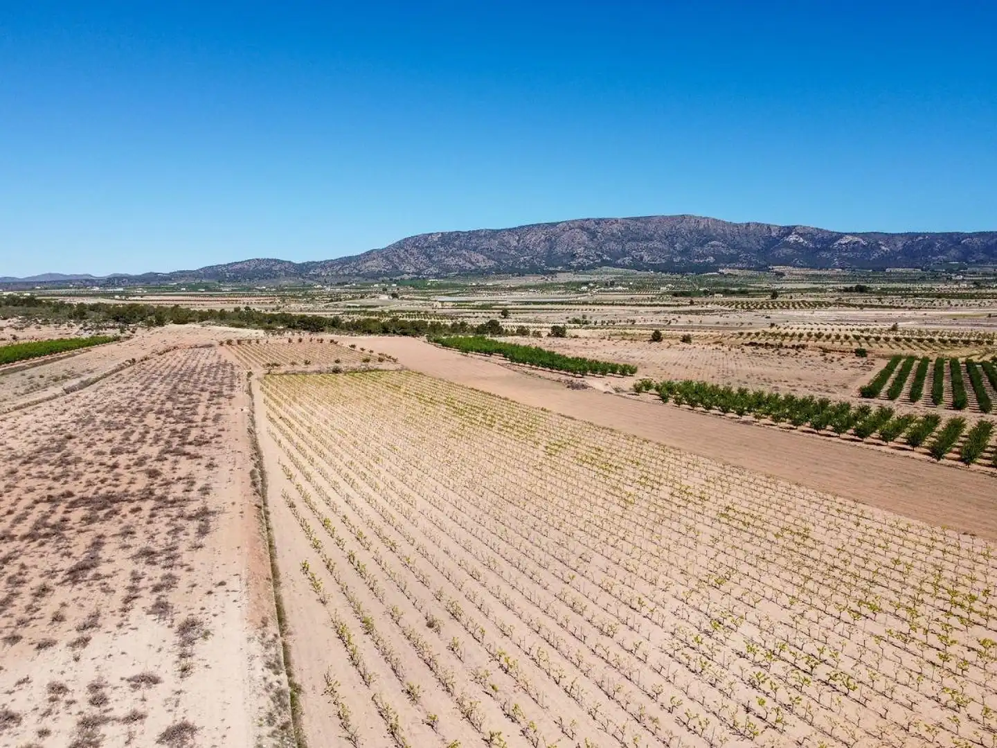 Terreno residencial en venta en El Pinós / Pinoso, imagen 10