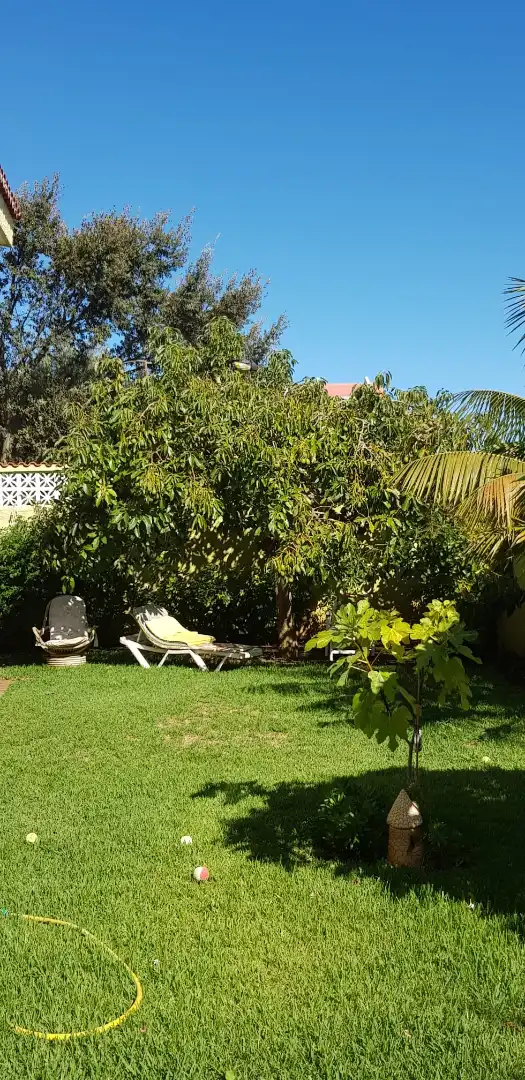 Garden of Houses for sale in San Cristóbal de la Laguna  with Private garden, Parquet flooring and Terrace
