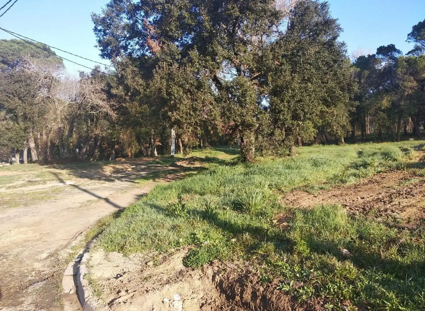 Terrenys i solars en venda a Calle Eucaliptus, imagen 4