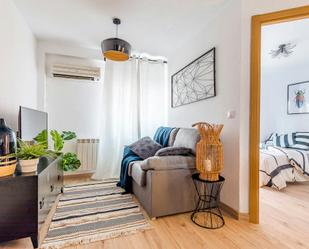 Living room of Flat to rent in  Madrid Capital  with Heating, Furnished and Washing machine