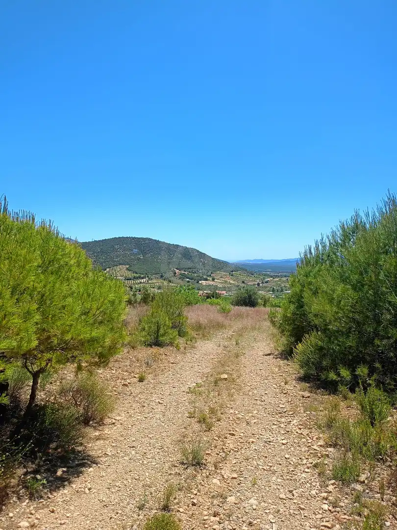 Terreno en venta en Lorca
