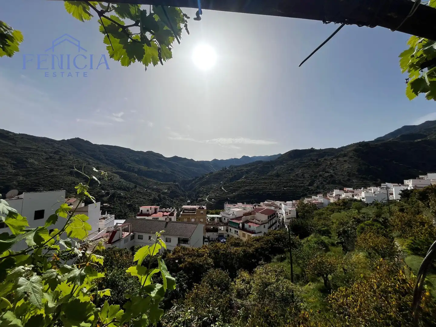 Vista exterior de Finca rústica en venta en Lentegí con Aire acondicionado, Jardín privado y Terraza
