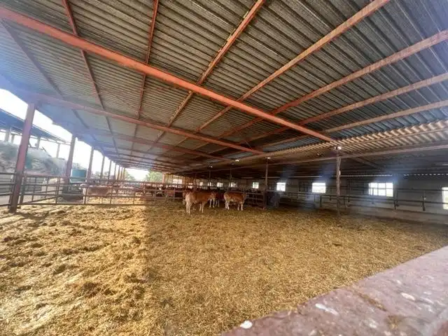 Vista exterior de Casa o xalet en venda en Alicante / Alacant amb Jardí privat