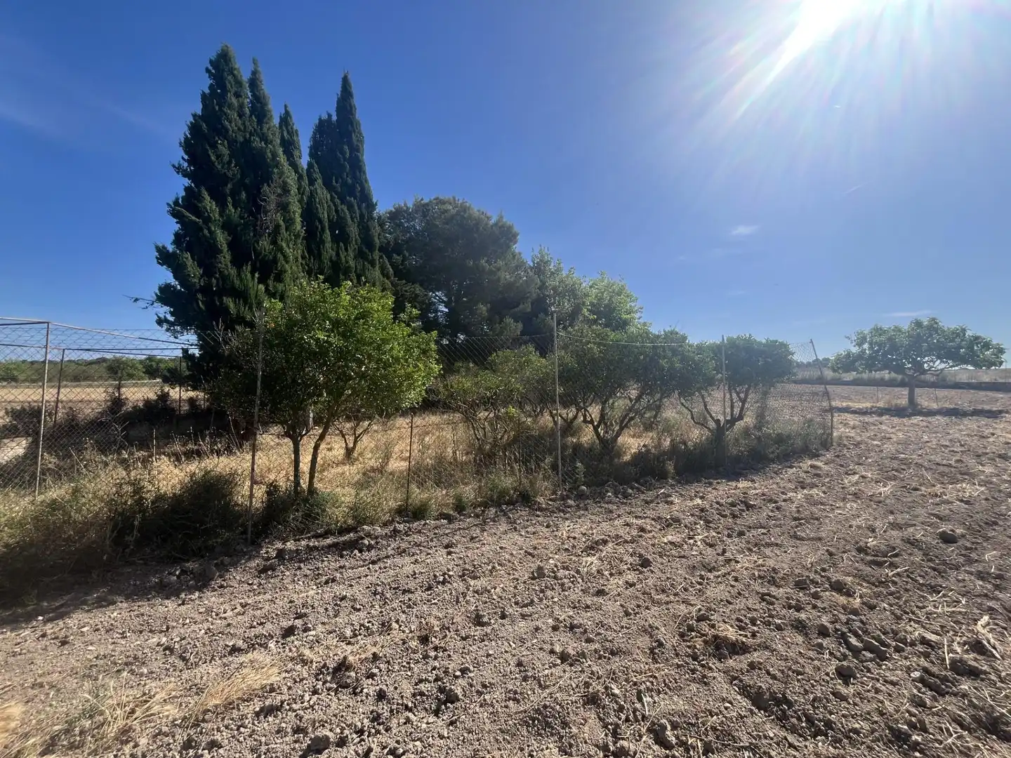 Terreny rústic en venda a Muro, imagen 19