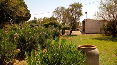 Foto 2 de Casa o chalet en venta en Villanueva de la Serena, Badajoz