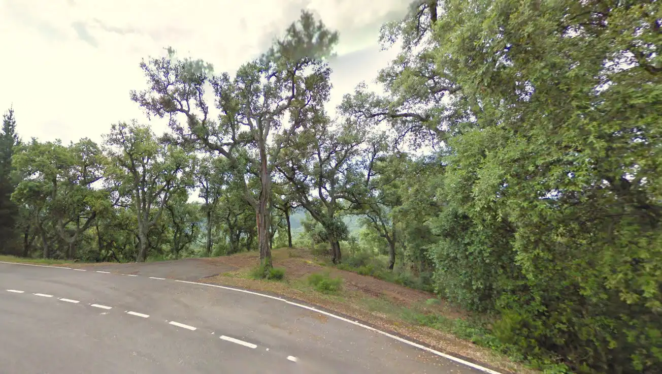 Rural land for sale in Paraje La Corbera, imagen 6