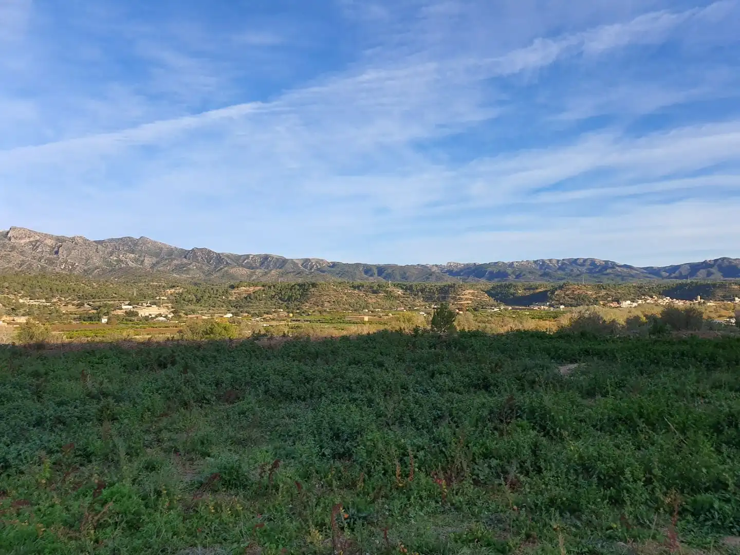Terrain résidentiel à vendre à Xerta, imagen 7
