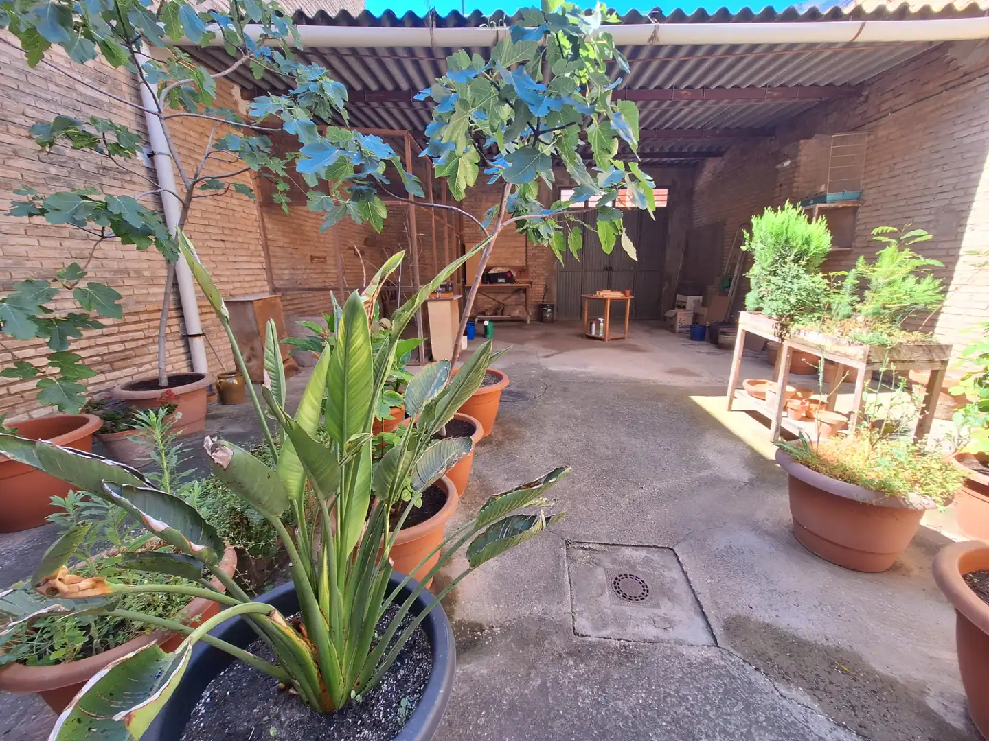 Garten von Haus oder Chalet zum Verkauf in Albalat de la Ribera mit Privatgarten