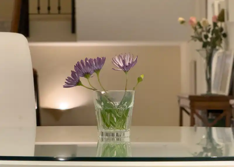 Terrassa de Casa o xalet de lloguer en Marbella amb Aire condicionat, Jardí privat i Terrassa