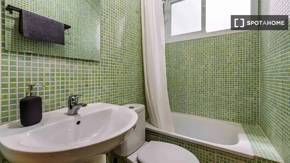 Bathroom of Flat for share in Centro