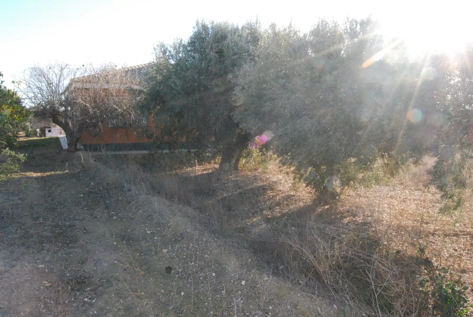 Houses for sale in Cañada del Fenollar