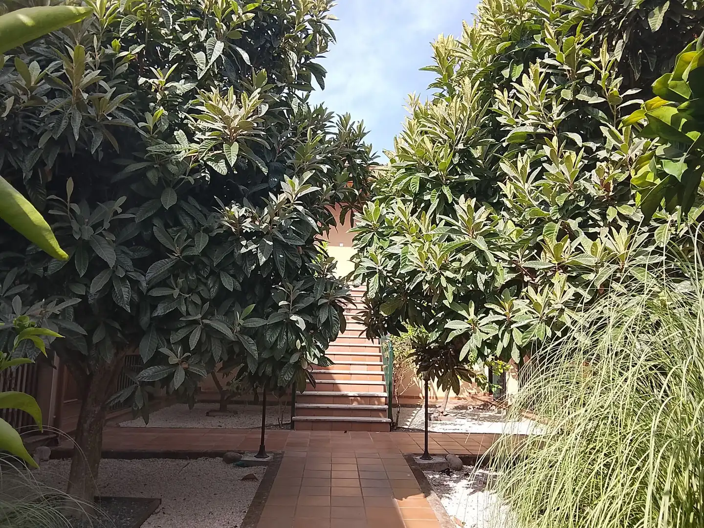 Jardín de Apartamento en venta en Madrigal de la Vera con Aire acondicionado y Amueblado