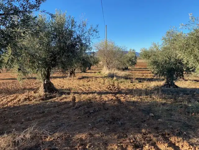Terreno rustico in vendita a Sonseca, imagen 3