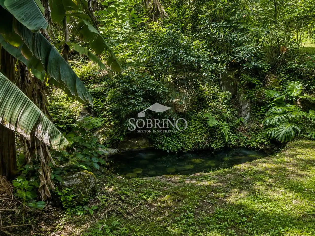Maison avec jardin à vendre à Calle Piñeres de Pria 1, imagen 9