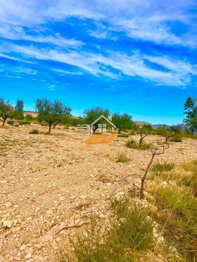 Casa rústica en venta en Vélez-Blanco, imagen 9