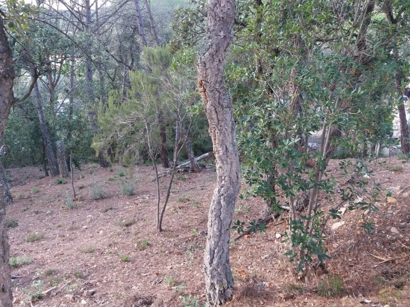 Terreno residencial en venta en Avinguda del Bell-lloc
