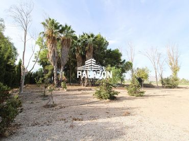 Rural land for sale in Crevillent