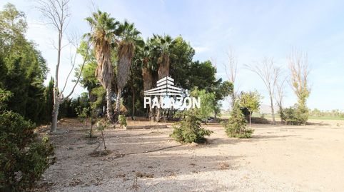 Finca rústica en venta para recreo en Catral Alicante