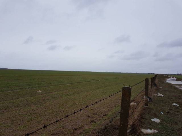 Terreno residencial en Venta en Robleda-Cervantes