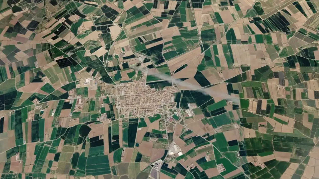 Büro zum Verkauf in Torregrossa