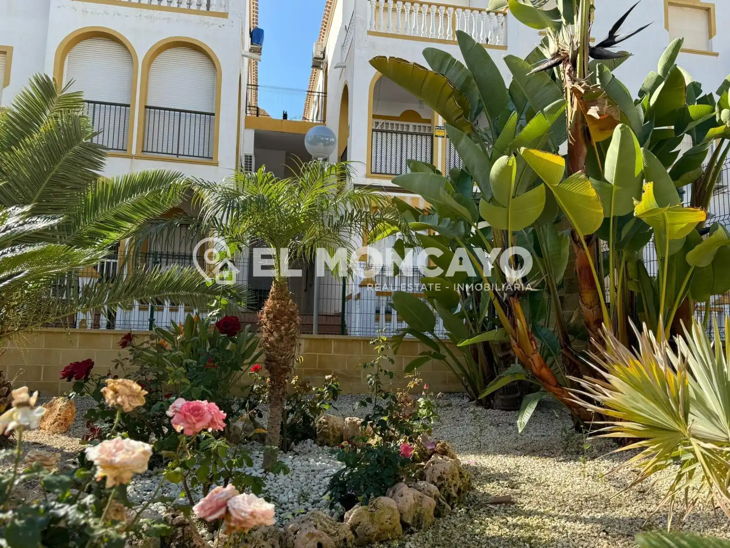 Vista exterior de Casa o chalet en venta en Torrevieja con Jardín privado, Terraza y Trastero
