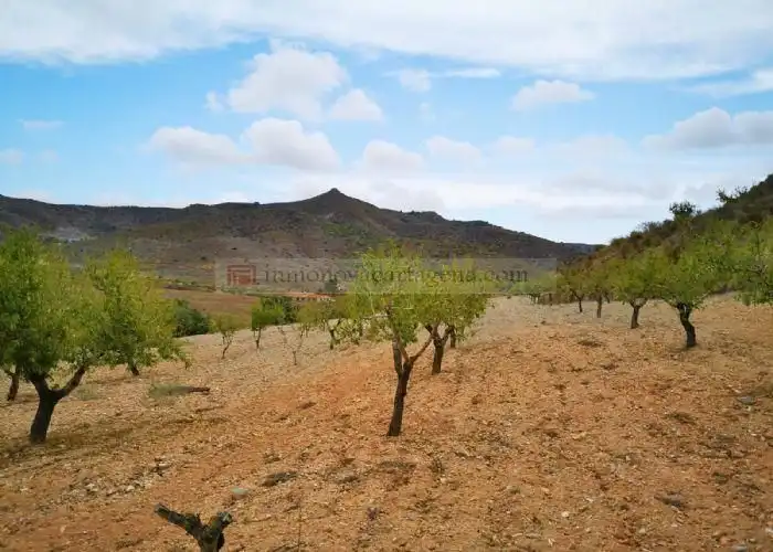 Rural land for sale in Pasaje Valdelentisco 25, imagen 3