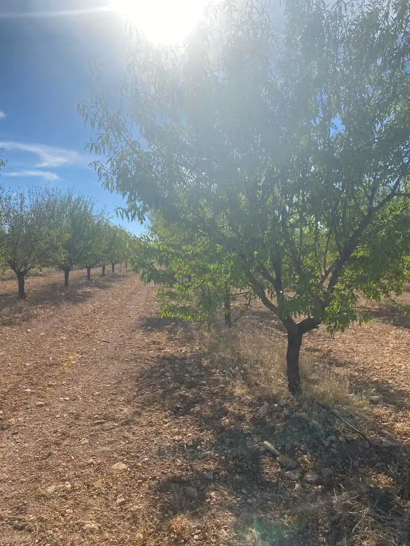 Terreno rustico in vendita a Calle García Pavón, imagen 38