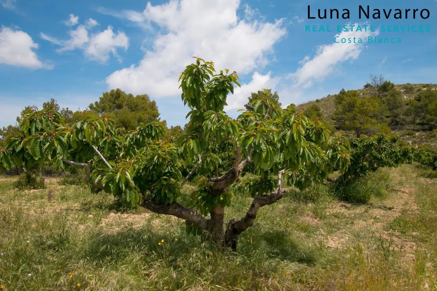 Finca rústica en venta en confrides, Confrides