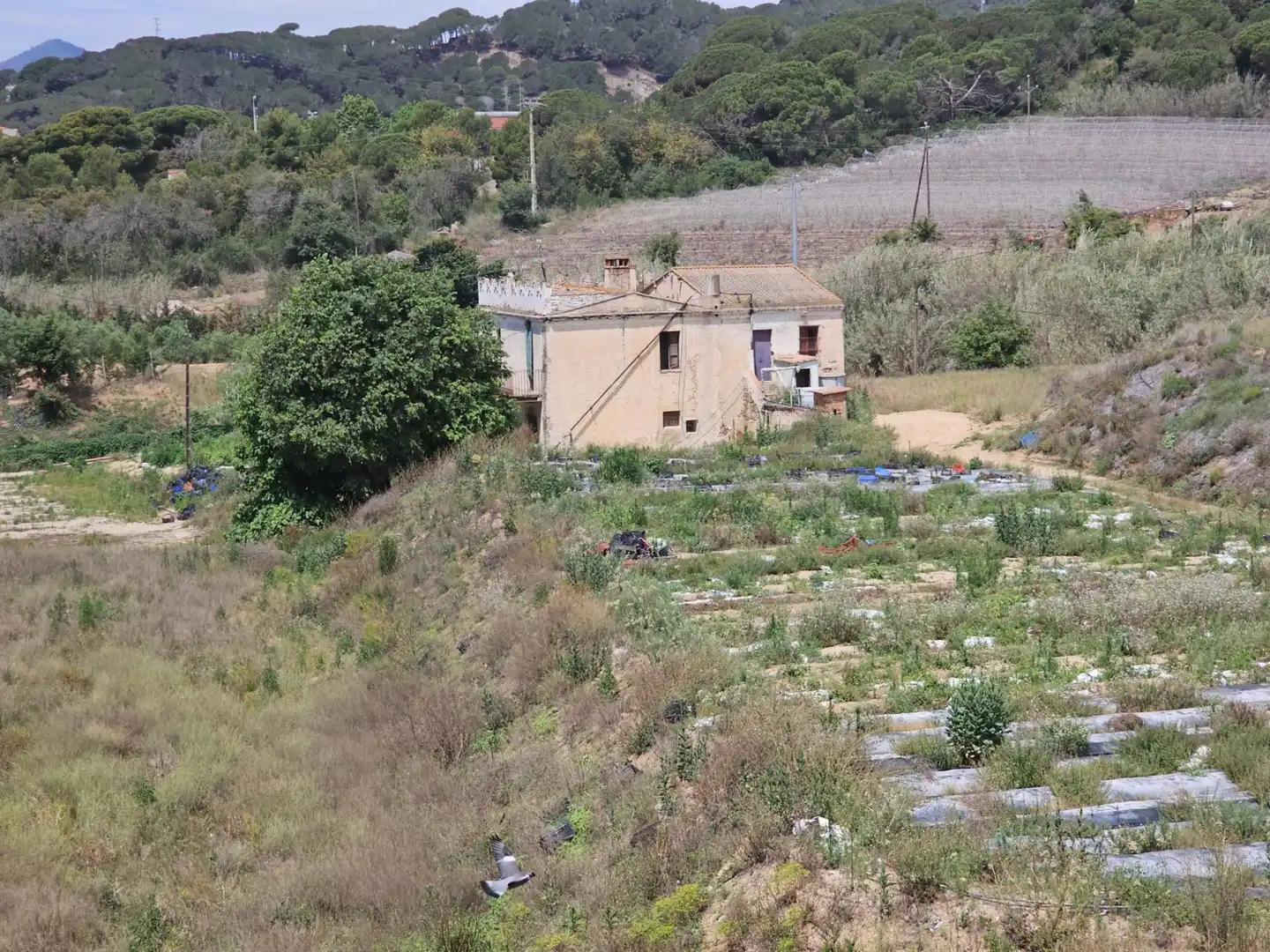 Finca rústica en venta en Canet de Mar con Jardín privado