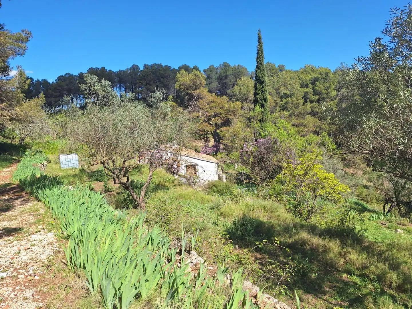 Finca rústica en venta en Alcoy / Alcoi con Trastero y Amueblado