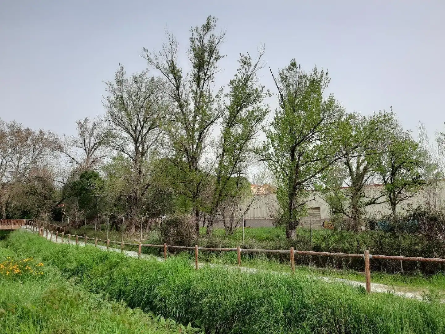 Detached house with garden for sale in Riells i Viabrea, imagen 12