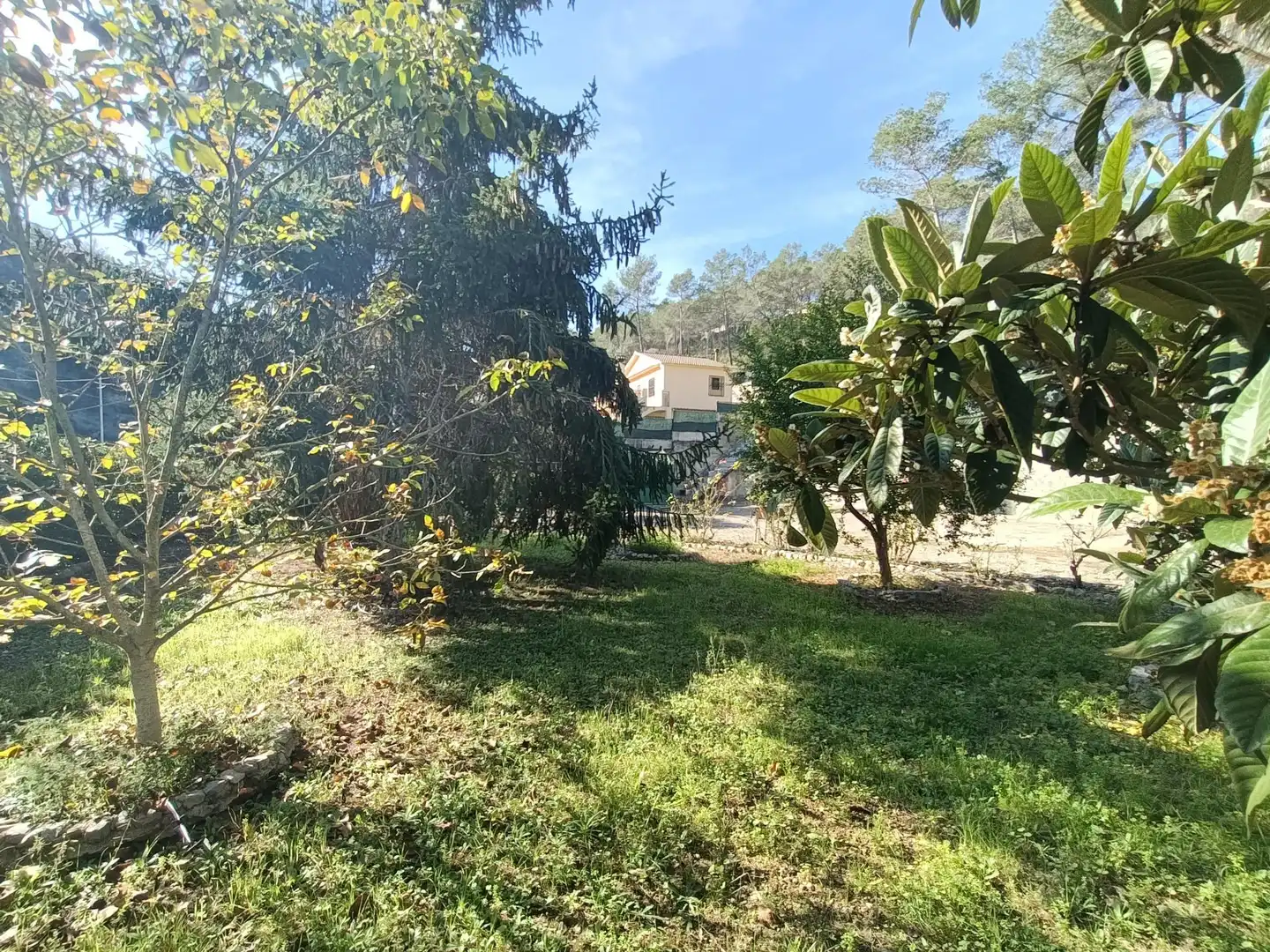 Terreno residencial en venta en Carrer CRISTOFOR COLON 24, imagen 14
