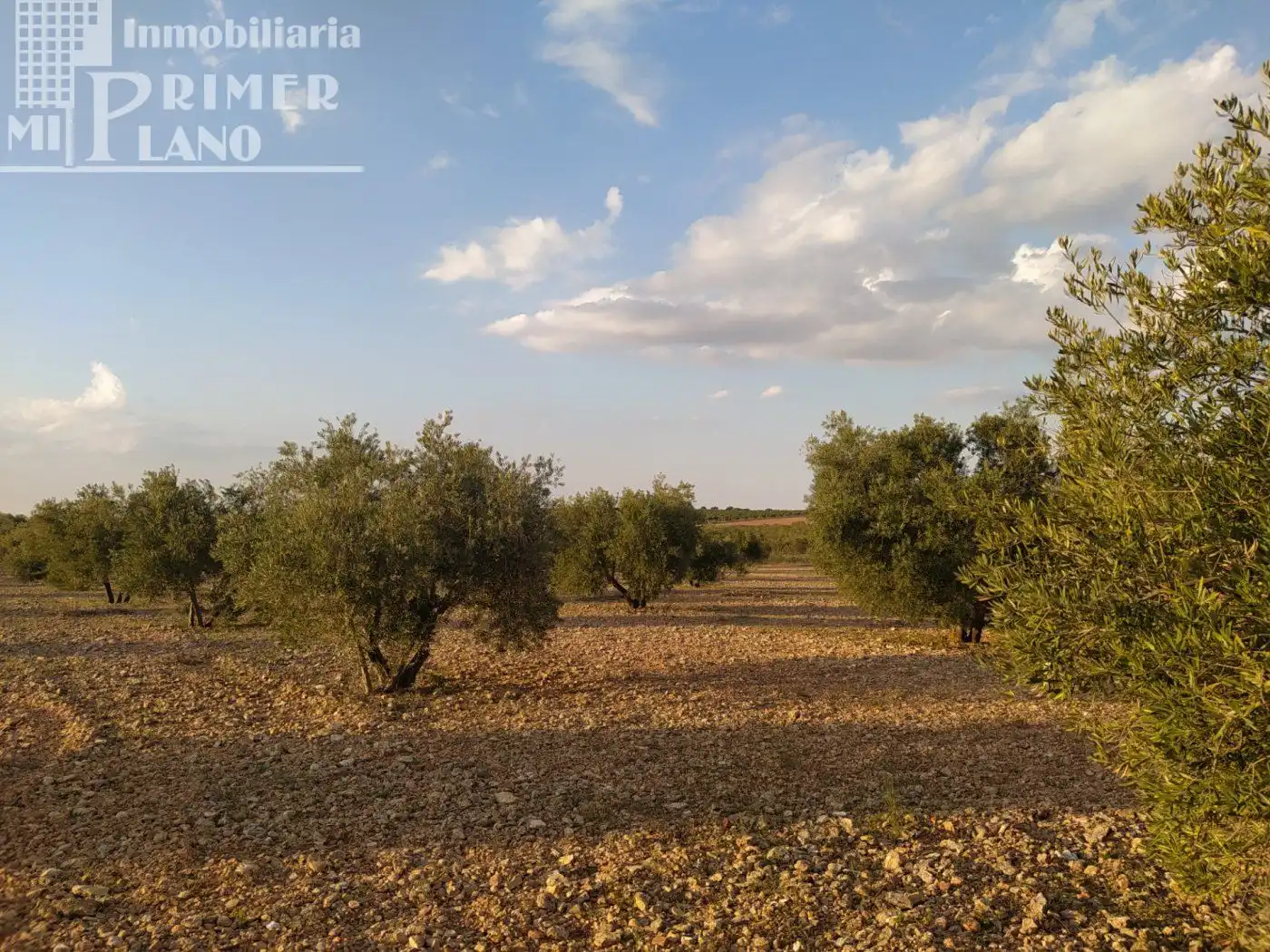 Terreny residencial en venda a Tomelloso