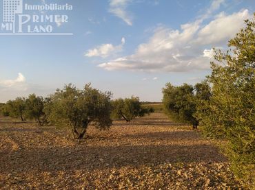 Terreno residenziale in vendita a Tomelloso