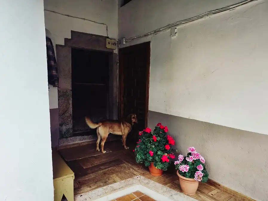 Casa en venta en Salas, imagen 45
