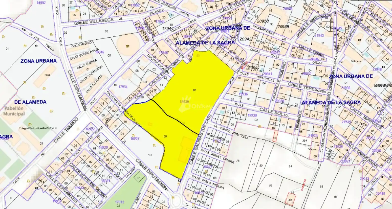 Rustikales Grundstück zum Verkauf in Alameda de la Sagra, imagen 7