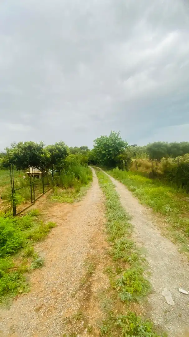 Terreny rústic en venda a La Bisbal d'Empordà, imagen 4