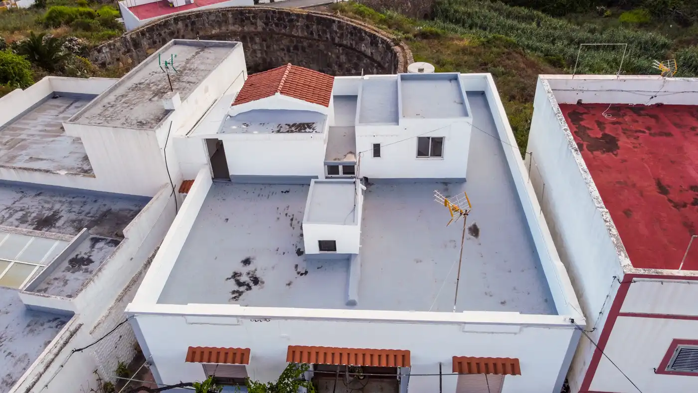 Vista exterior de Casa o chalet en venta en Moya (Las Palmas) con Jardín privado