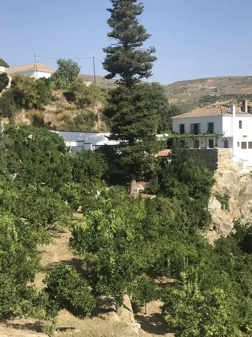 Vista exterior de Finca rústica en venda en El Valle amb Piscina