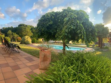 Xalet amb piscina en venda a O Pereiro de Aguiar