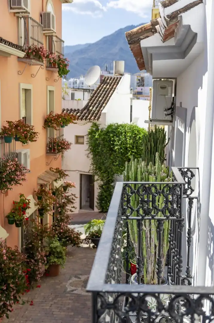 Casa rústica con piscina en venta en Estepona Pueblo, imagen 39